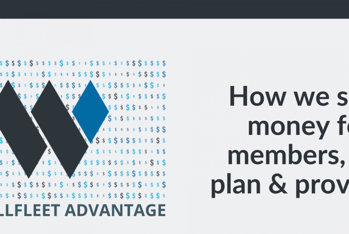 The Wellfleet Advantage - Infographic featured img