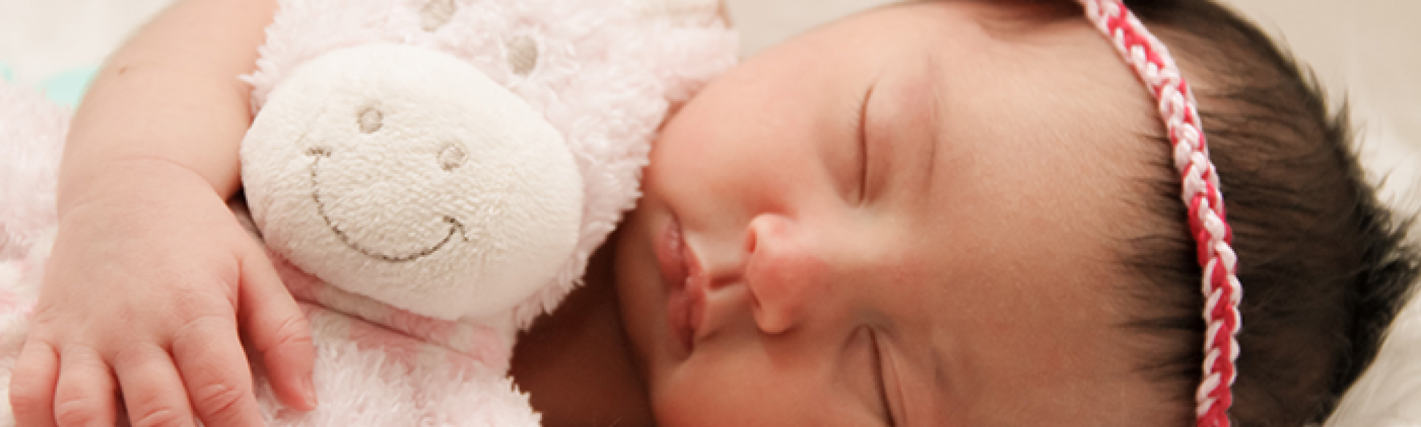 pexels-ivone-de-melo-2797865_resize